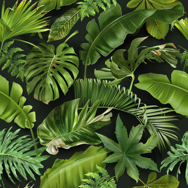 Bay Isle Home Vector Seamless Pattern With Green Tropical Leaves
